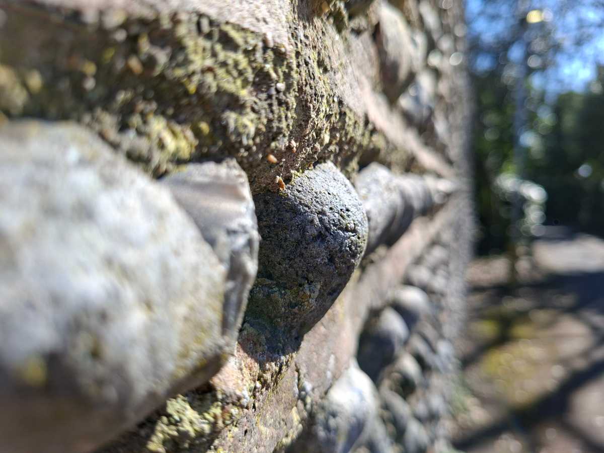 Samsung Galaxy A56 camera sample wall