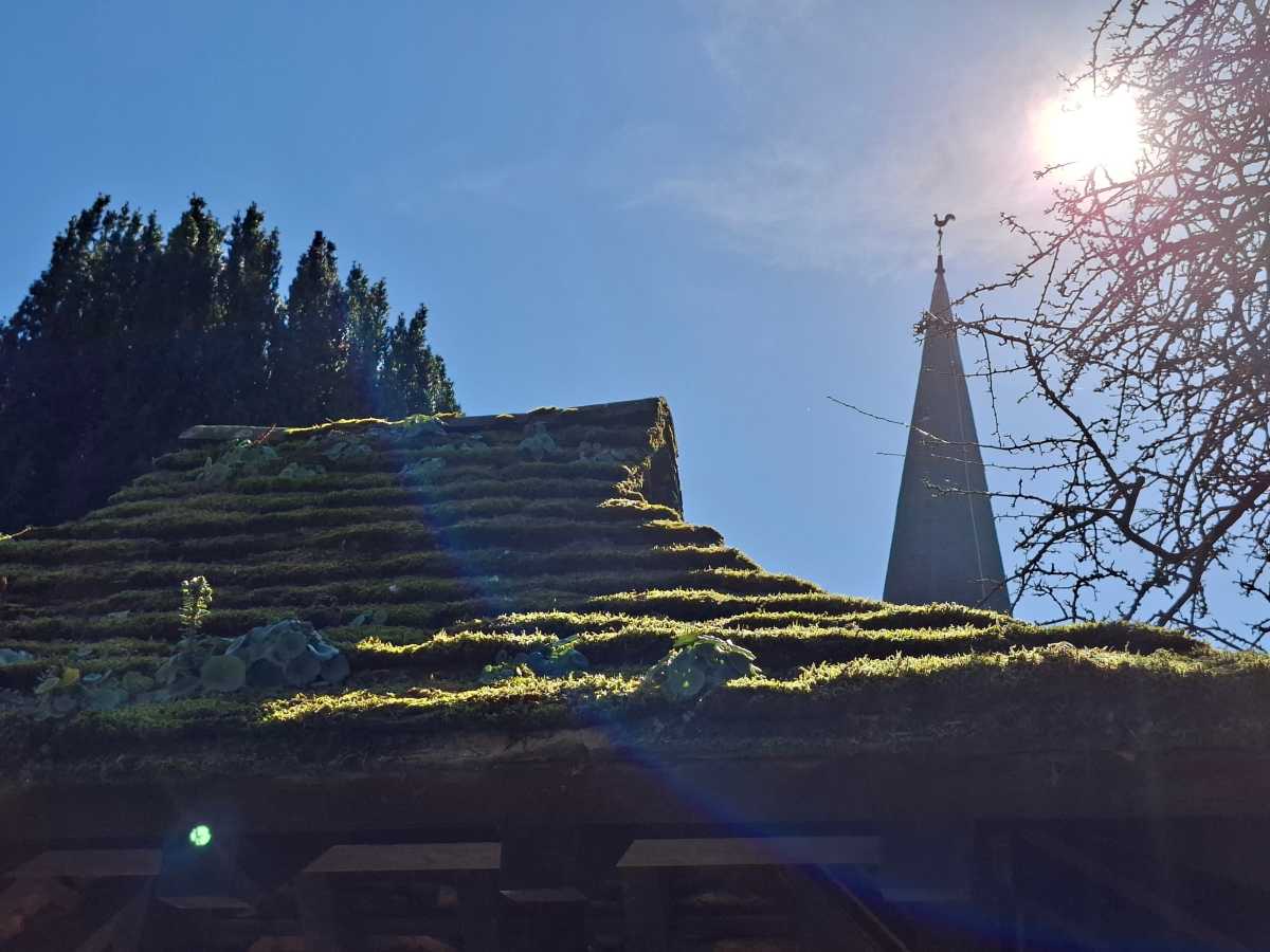 Samsung Galaxy A56 camera sample high contrast 2x roof