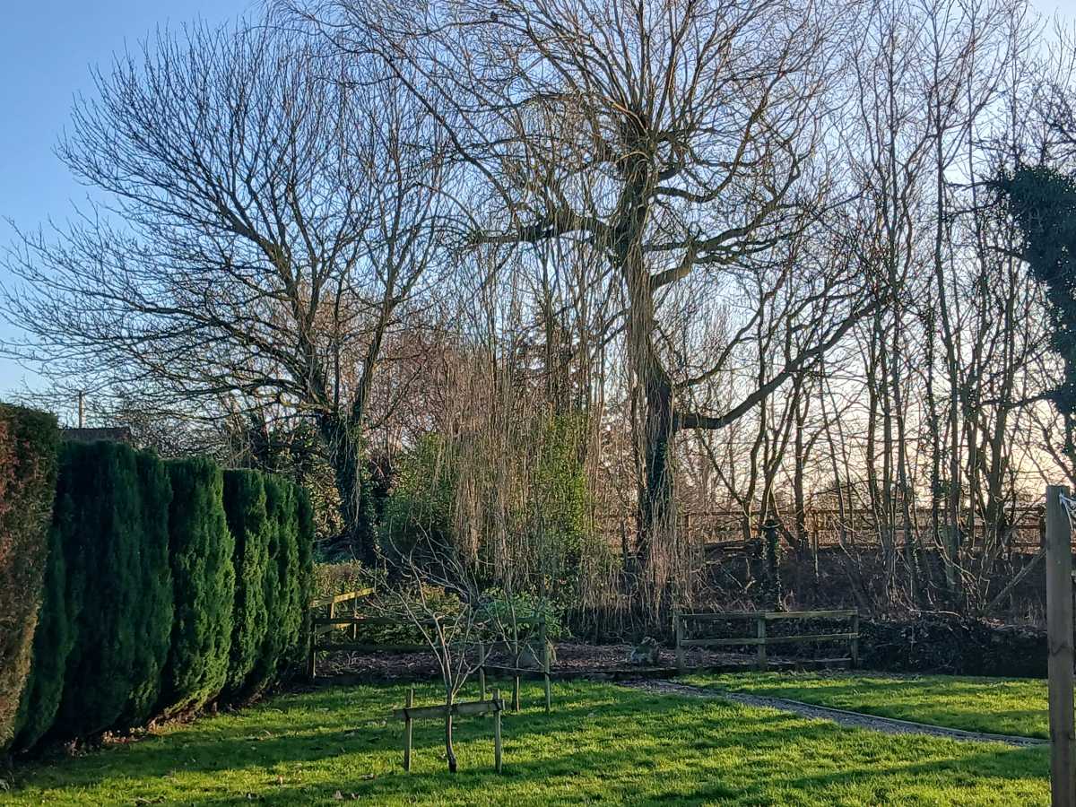 Galaxy A16 2x Zoom Shot