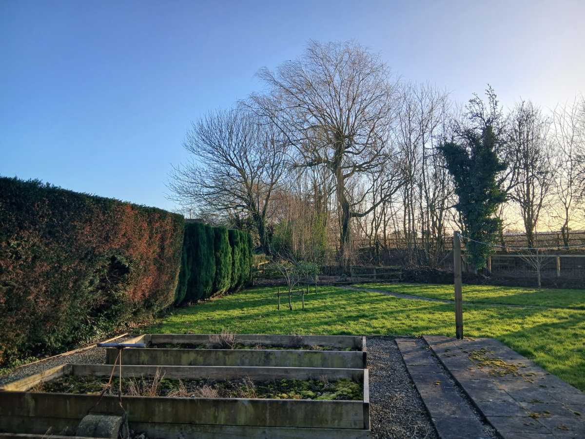 Galaxy A16 Standard Shot