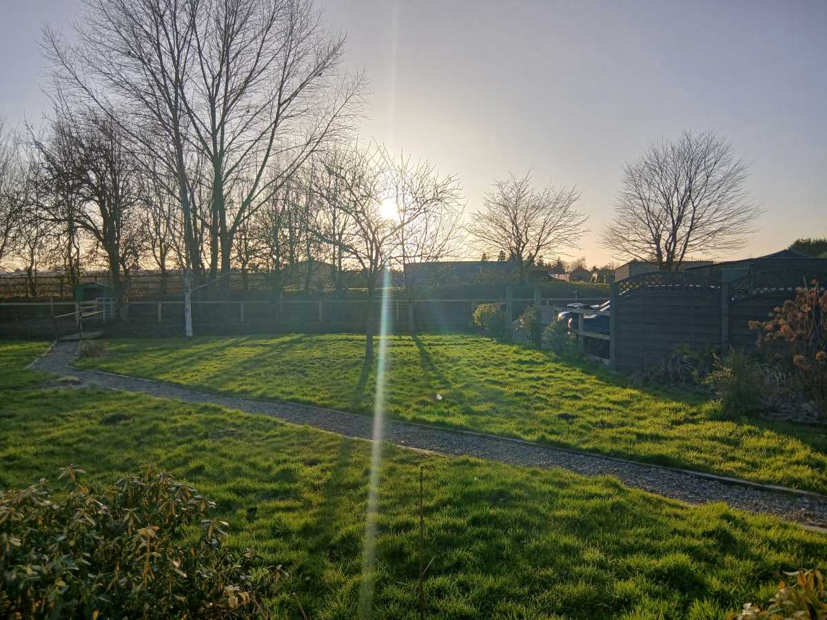 Galaxy A16 HDR Standard Shot