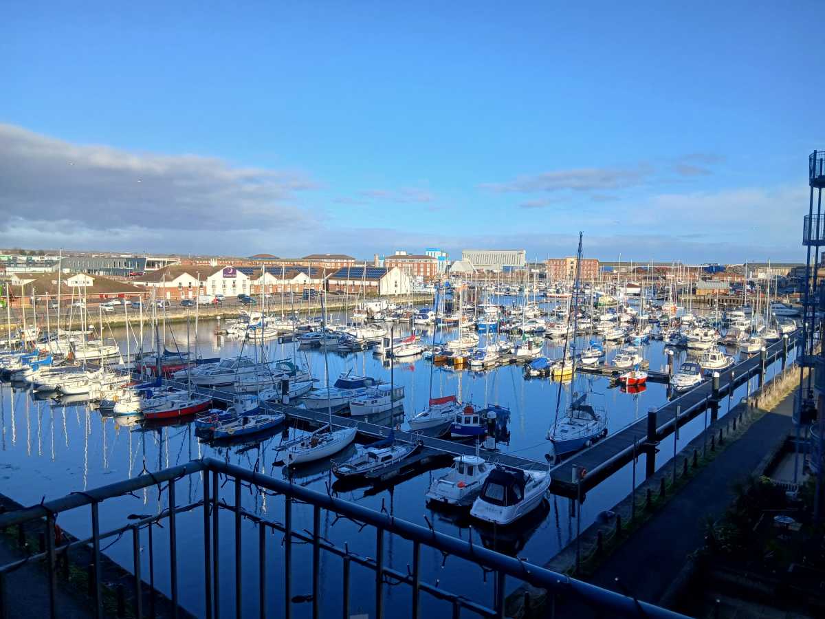 Galaxy A16 Standard Daytime Shot