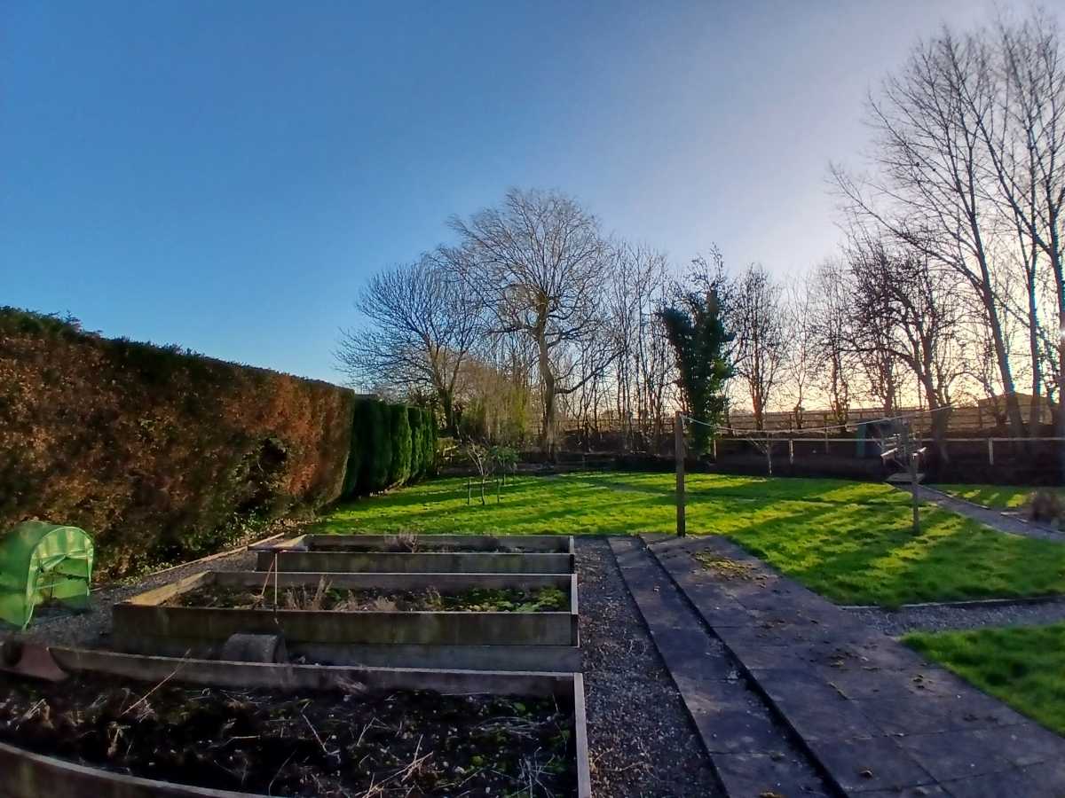 Galaxy A16 Ultrawide Shot