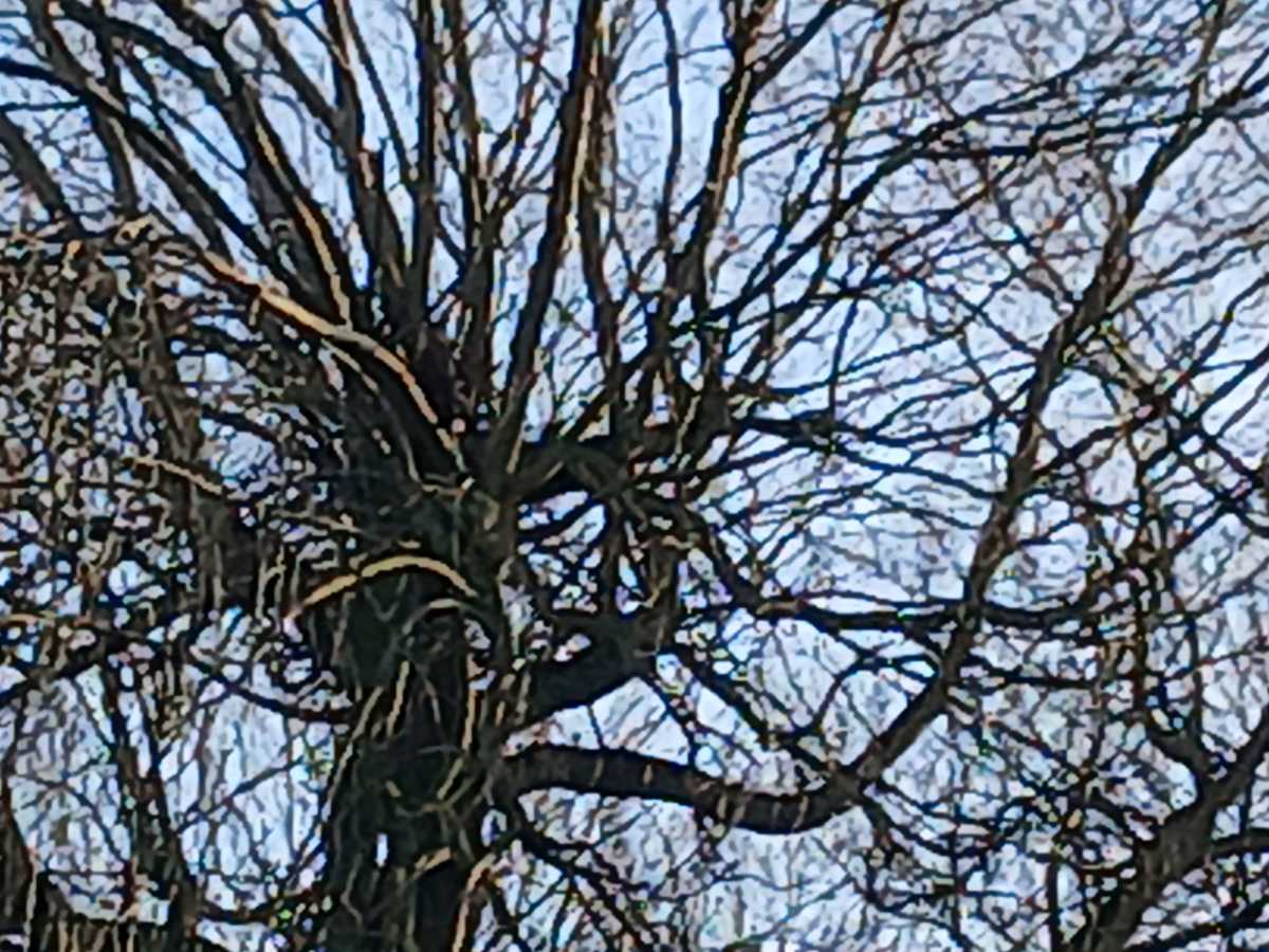 Galaxy A16 10x Zoom Shot