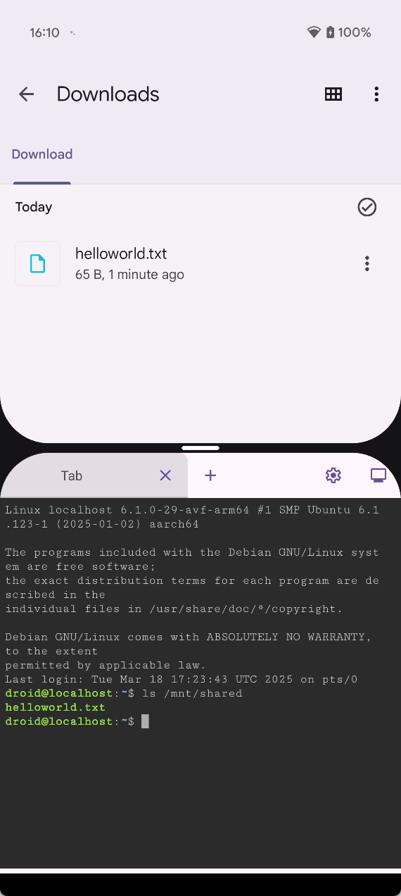 Visualizando a lista de arquivos baixados da VM Linux no Android