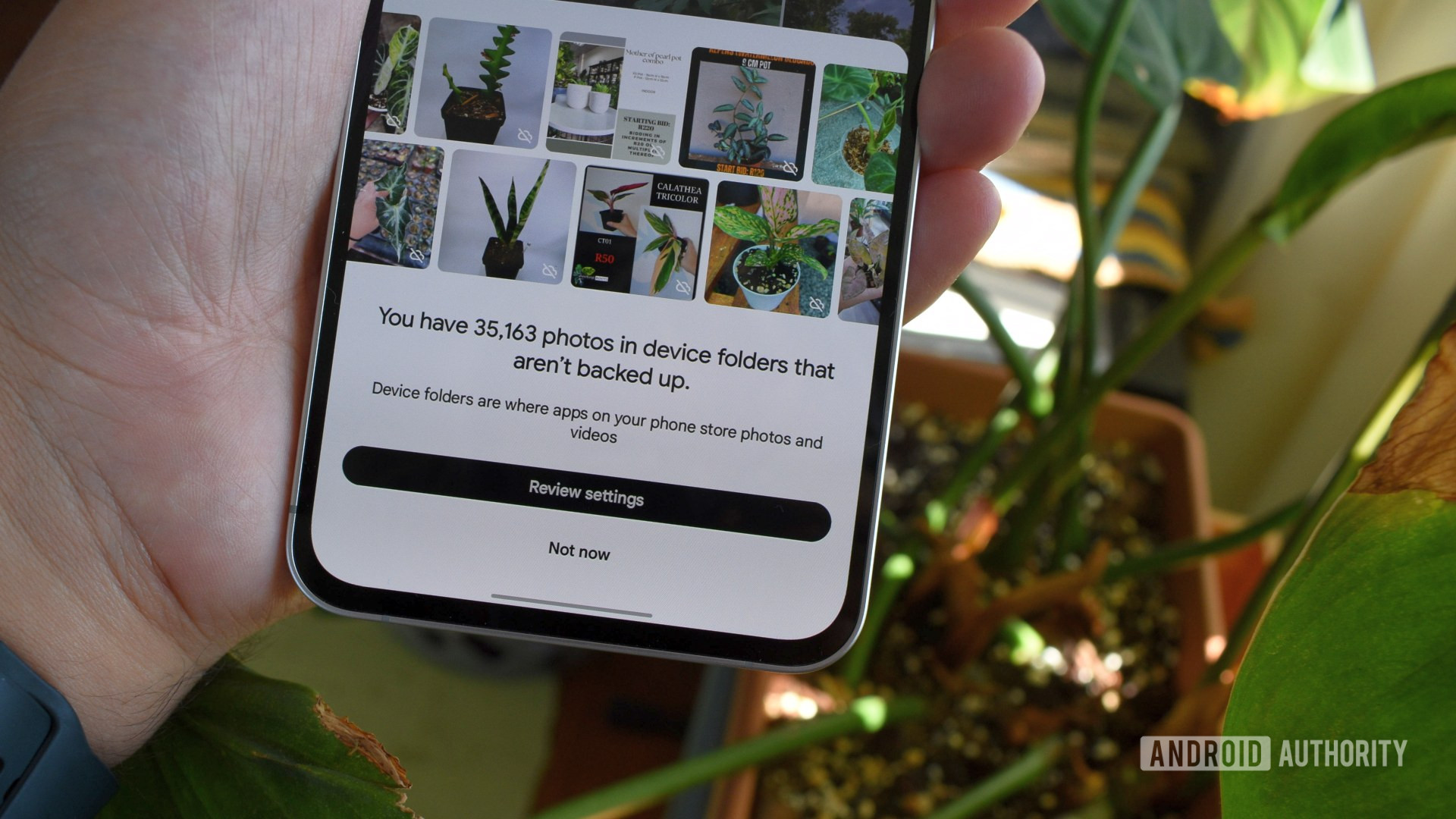backups de fotos do Google 1