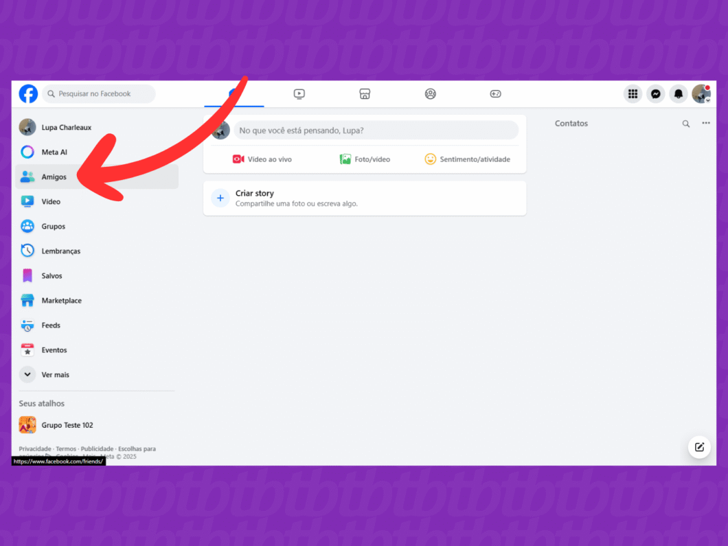 Acessando a aba "Amigos" no Facebook pelo PC