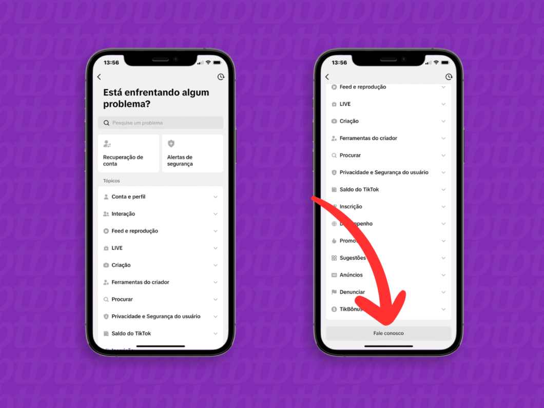 Acionando a opção "Fale conosco"