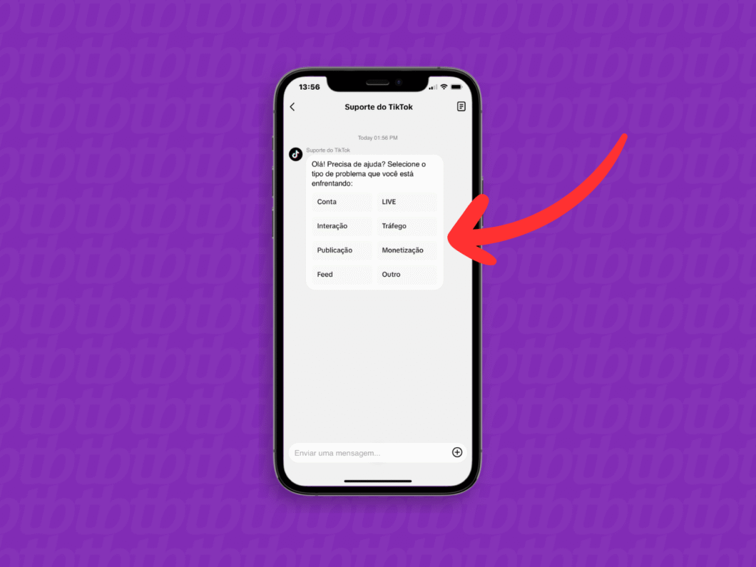Interagindo com o suporte do TikTok