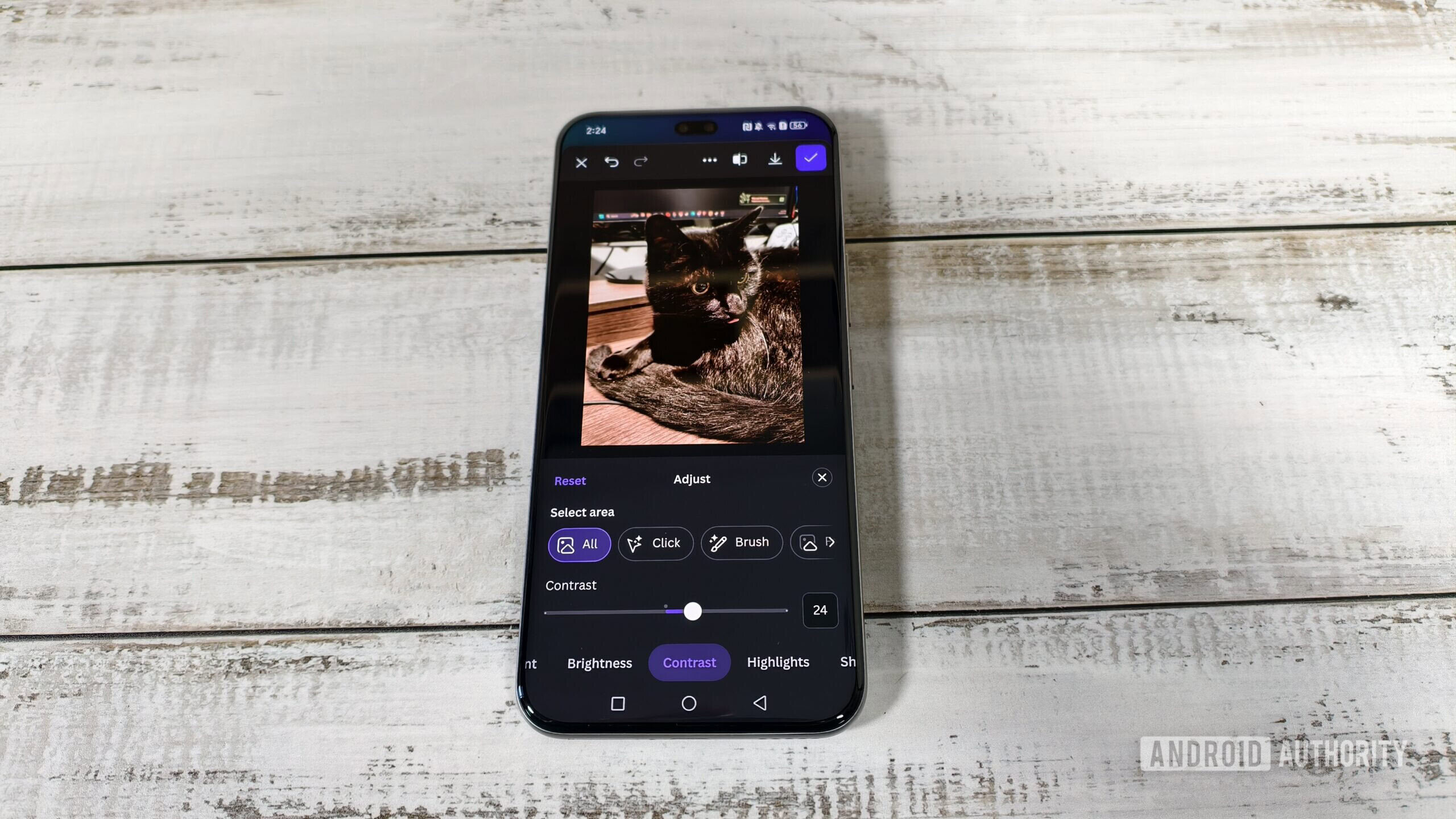 editando a foto de um gato no aplicativo canva