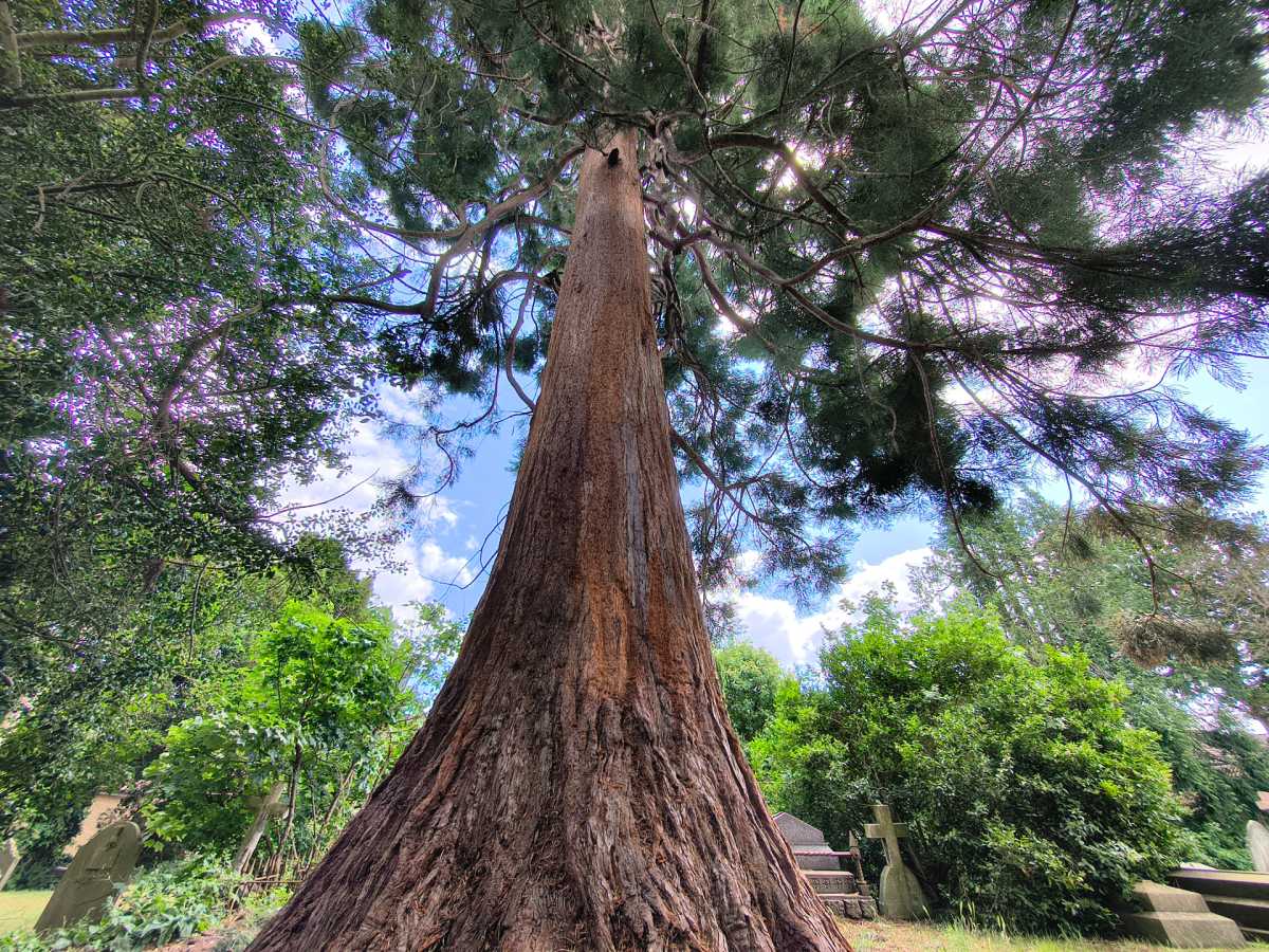 motorola edge 60 camera sample 2