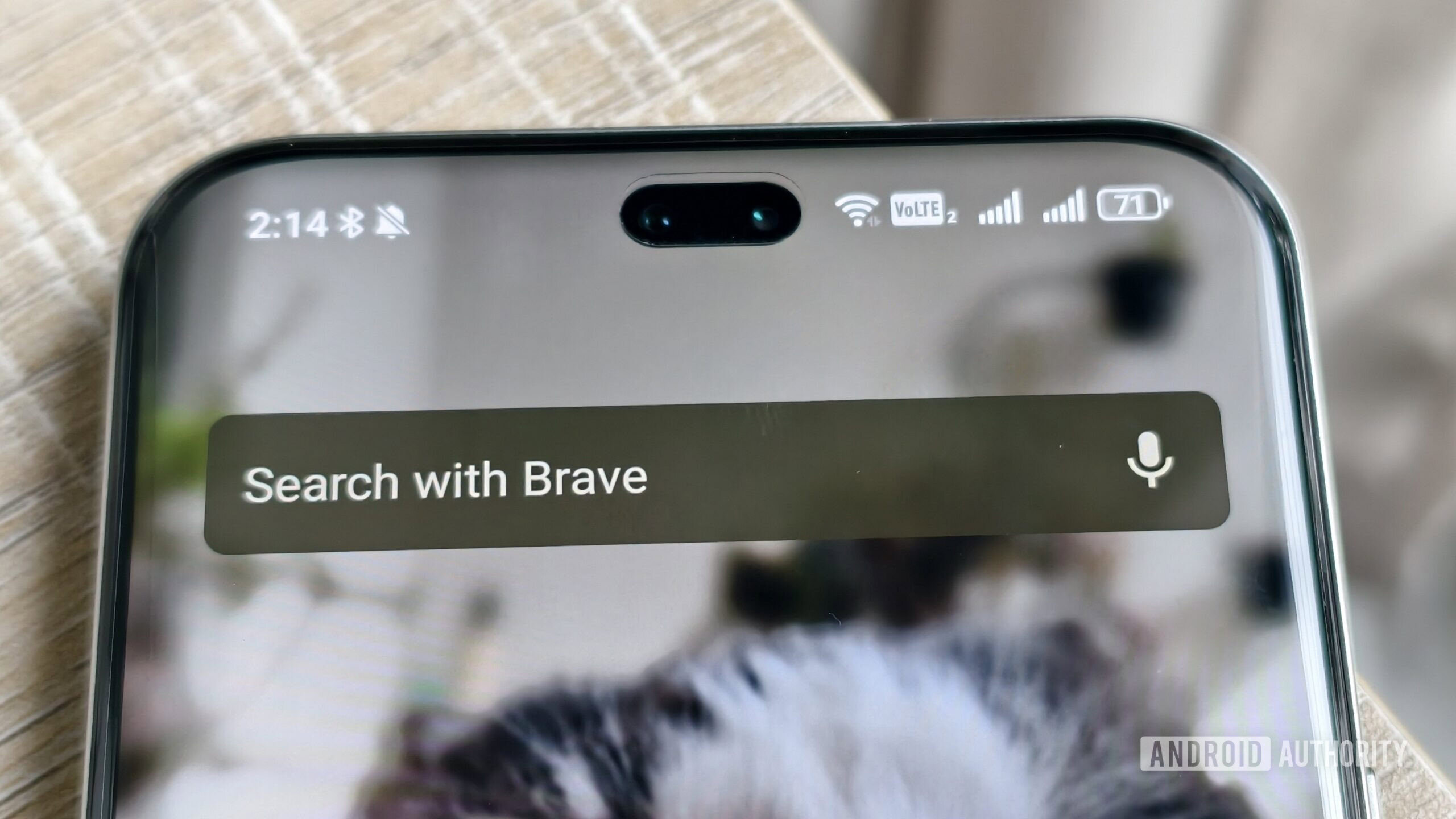 O corajoso widget de pesquisa em uma tela inicial de smartphone