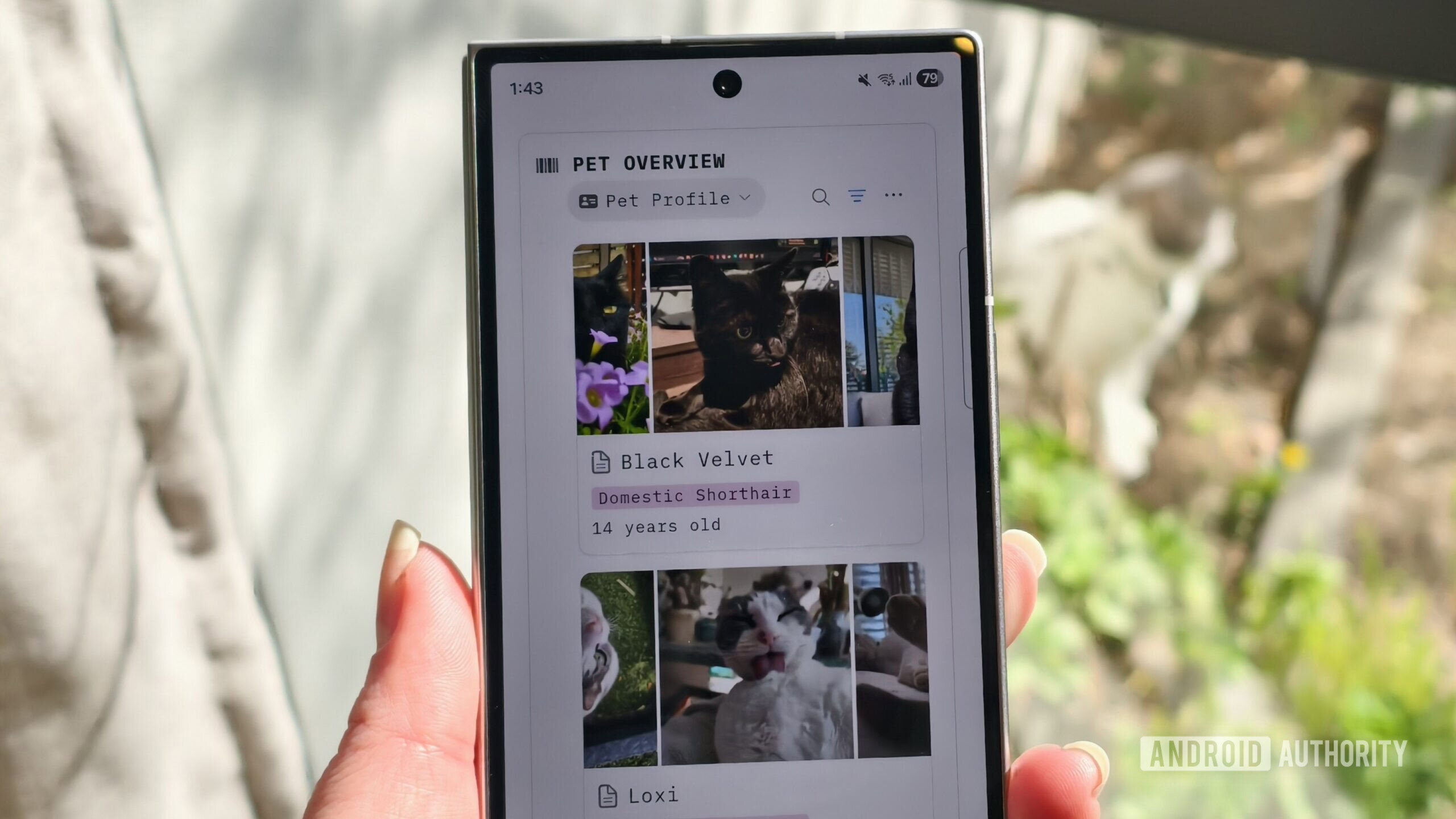 Um modelo de noção de cuidados com animais de estimação em um smartphone