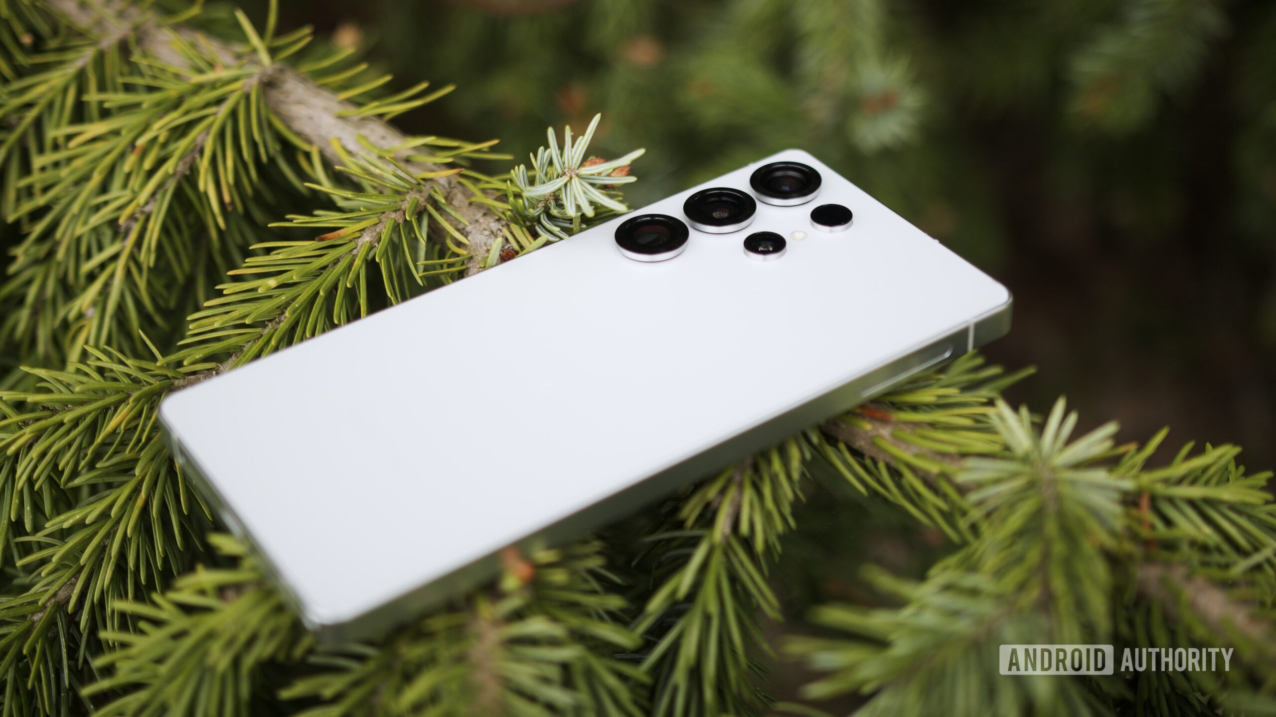 O Samsung Galaxy S25 Ultra deitado em cima de um galho de árvore.