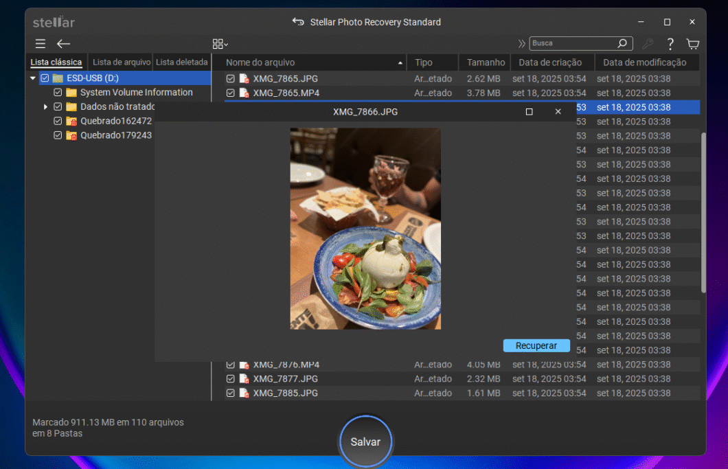 Captura de tela do Stellar Photo Recovery com a pré-visualização de uma foto recuperada