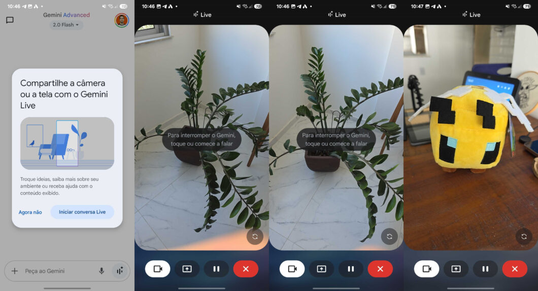 Usuário pode pedir ao Gemini Live para identificar uma planta (foto: Thássius Veloso/Tecnoblog)