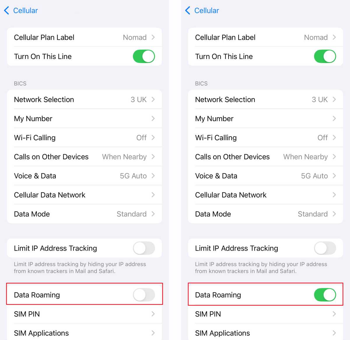 iPhone Settings Cellular eSIM Data Roaming