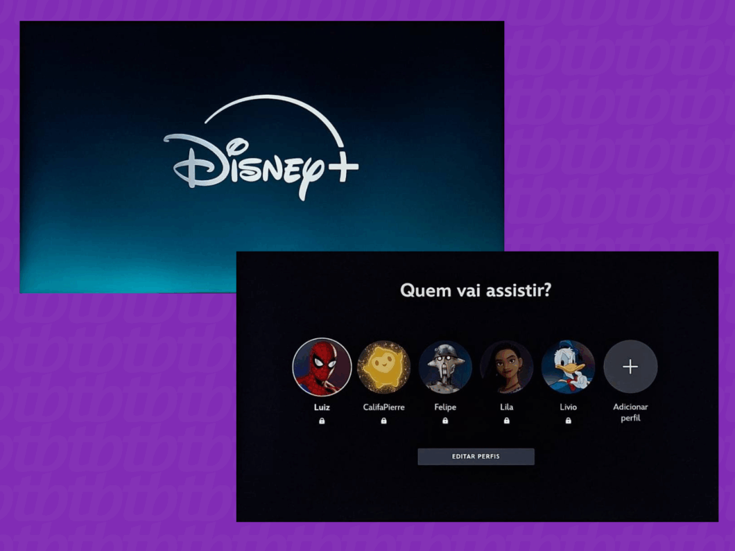 Abrindo o aplicativo e selecionando o perfil de usuário