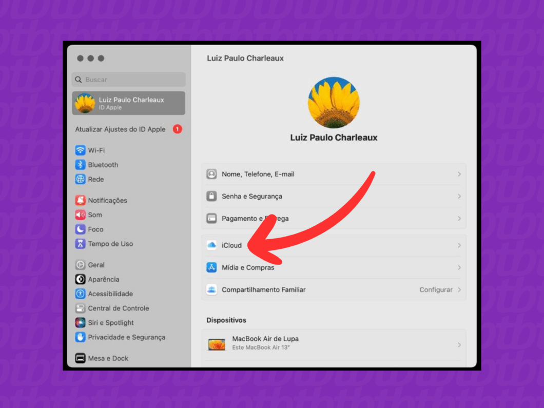 Selecionando o menu "iCloud"