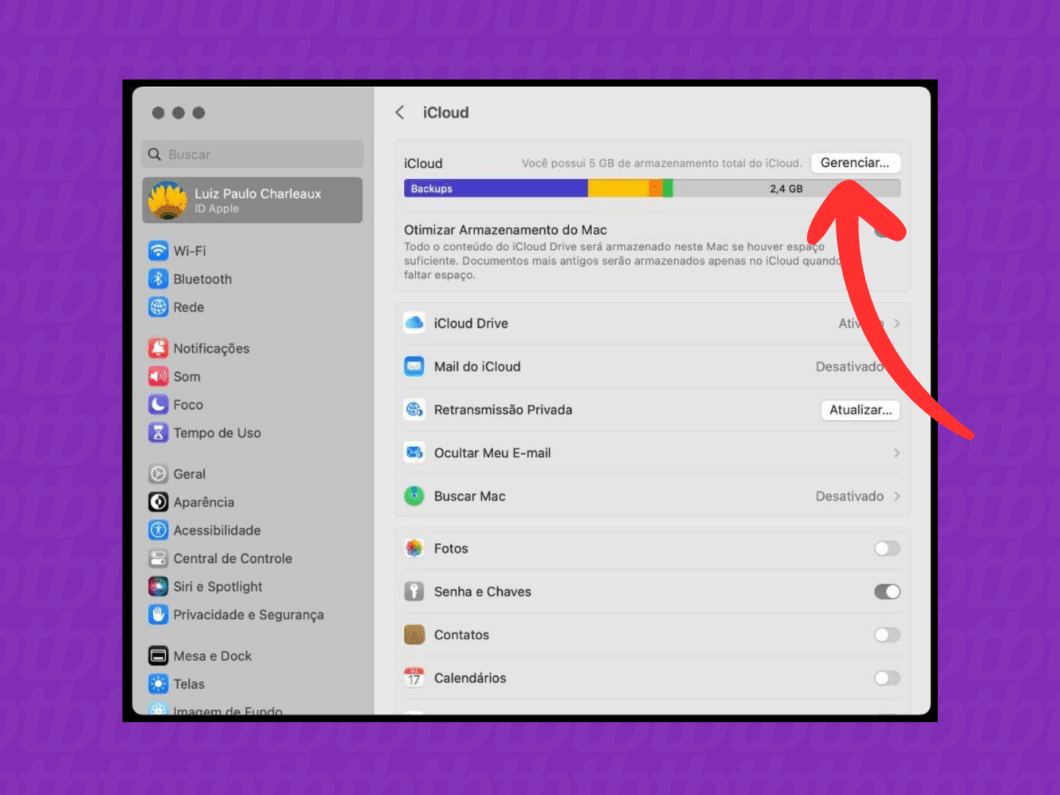 Clicando em "Gerenciar" iCloud