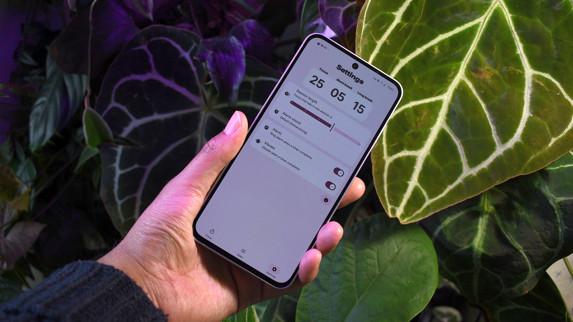 aplicativo tomate tomate 2