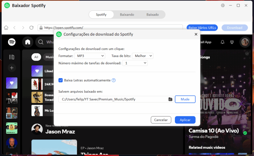 Preferências de download no Baixador Spotify do YT Saver 