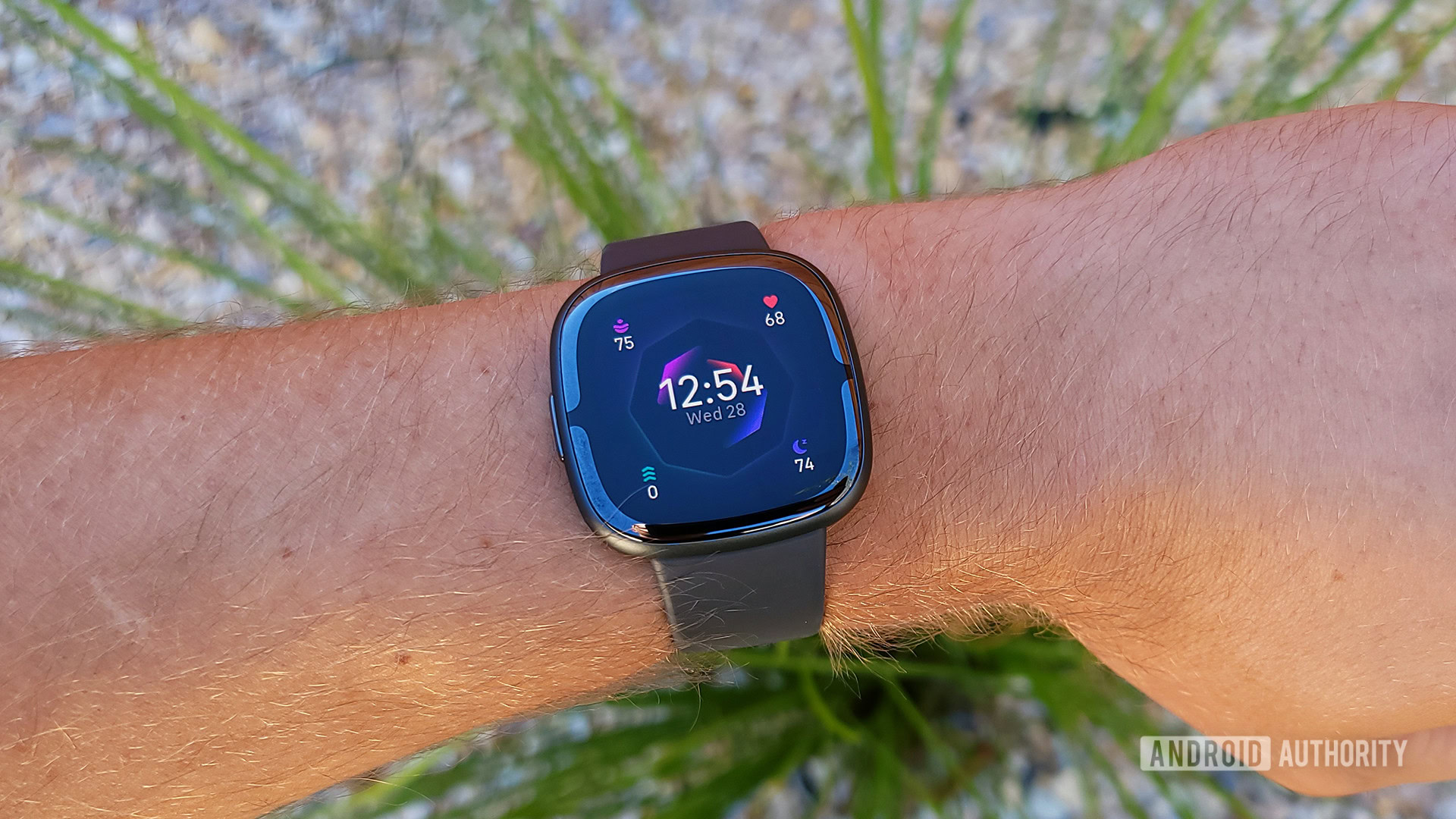 Fitbit Sense 2 Review mostrador de relógio padrão com grama no fundo