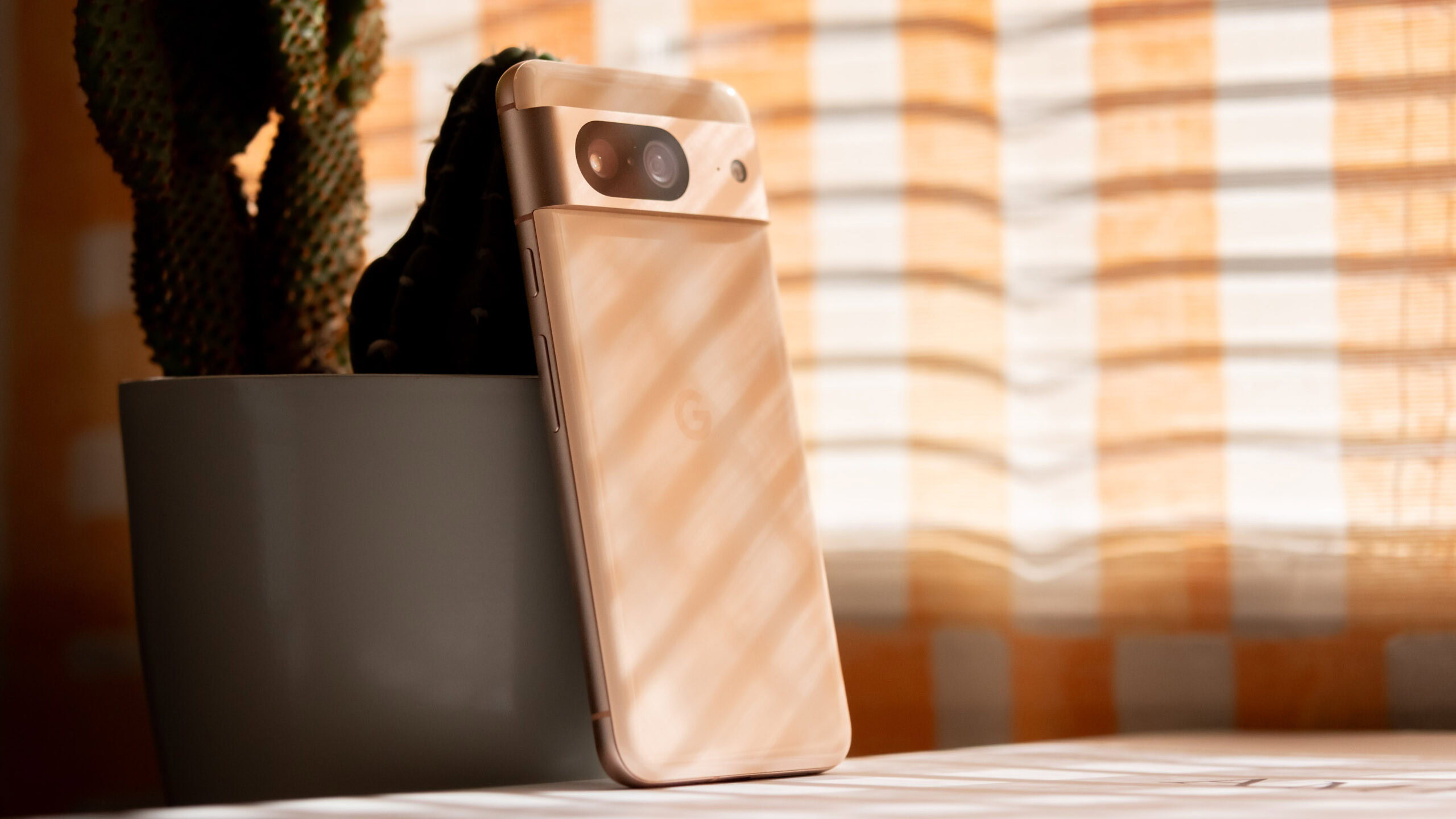 cacto google pixel 8