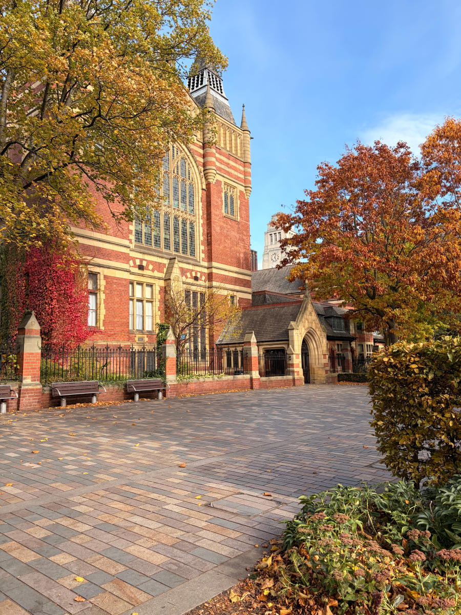 iPhone 17 camera samples 4