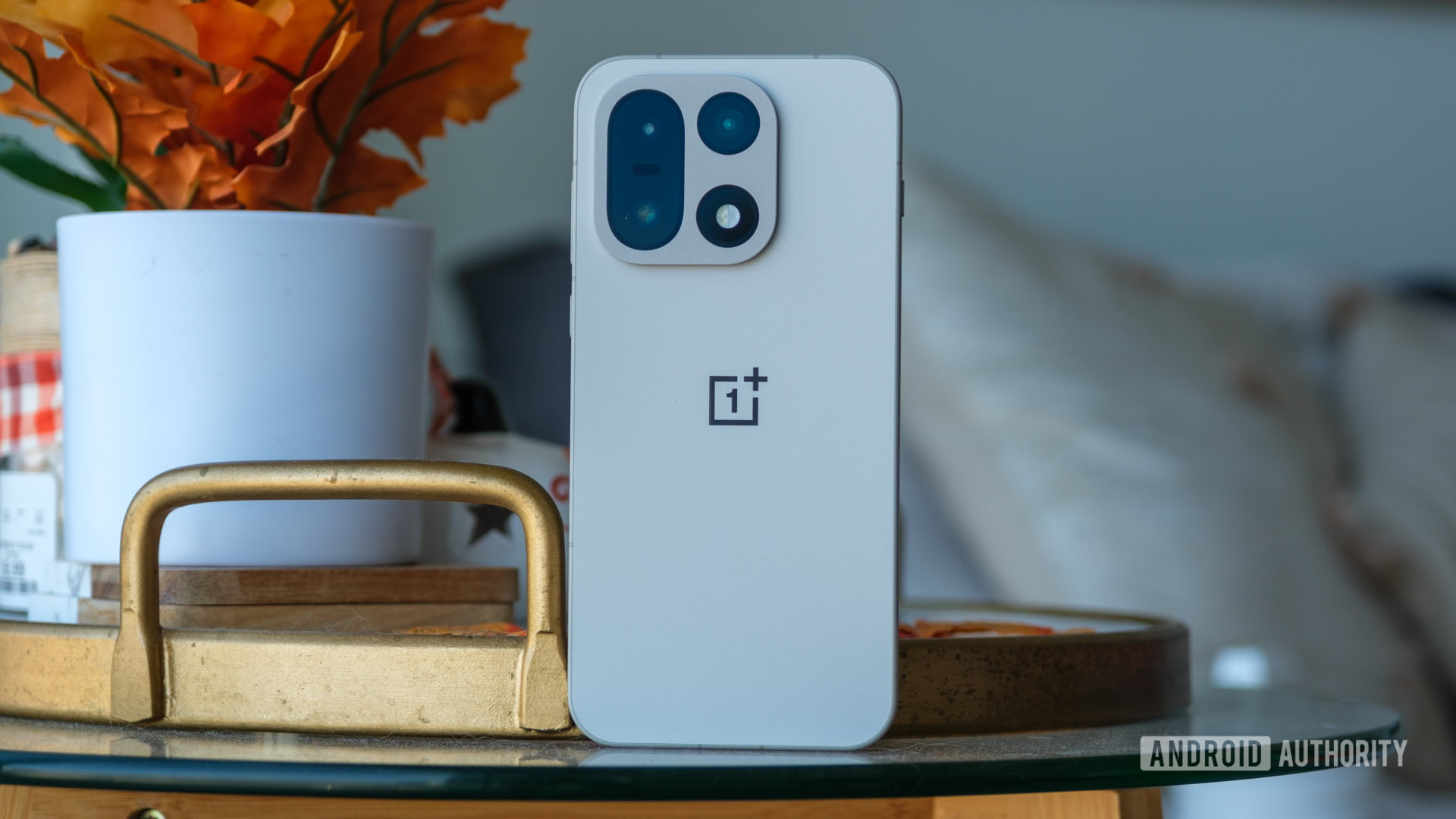 Her&oacute;i traseiro do OnePlus 15