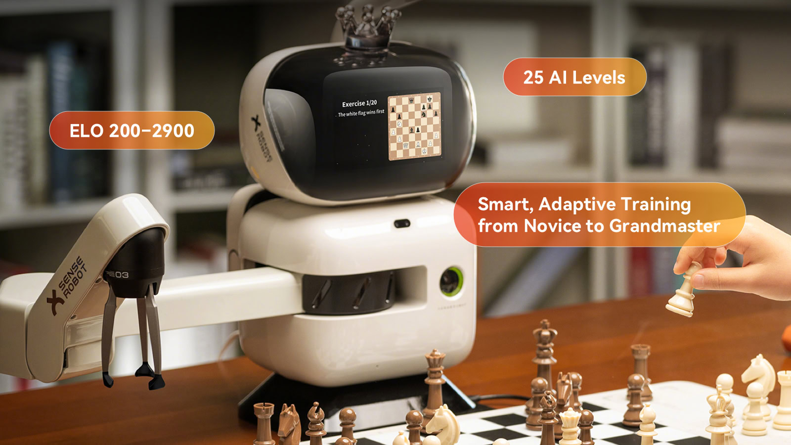 sentido robô 2 sentido robô 2