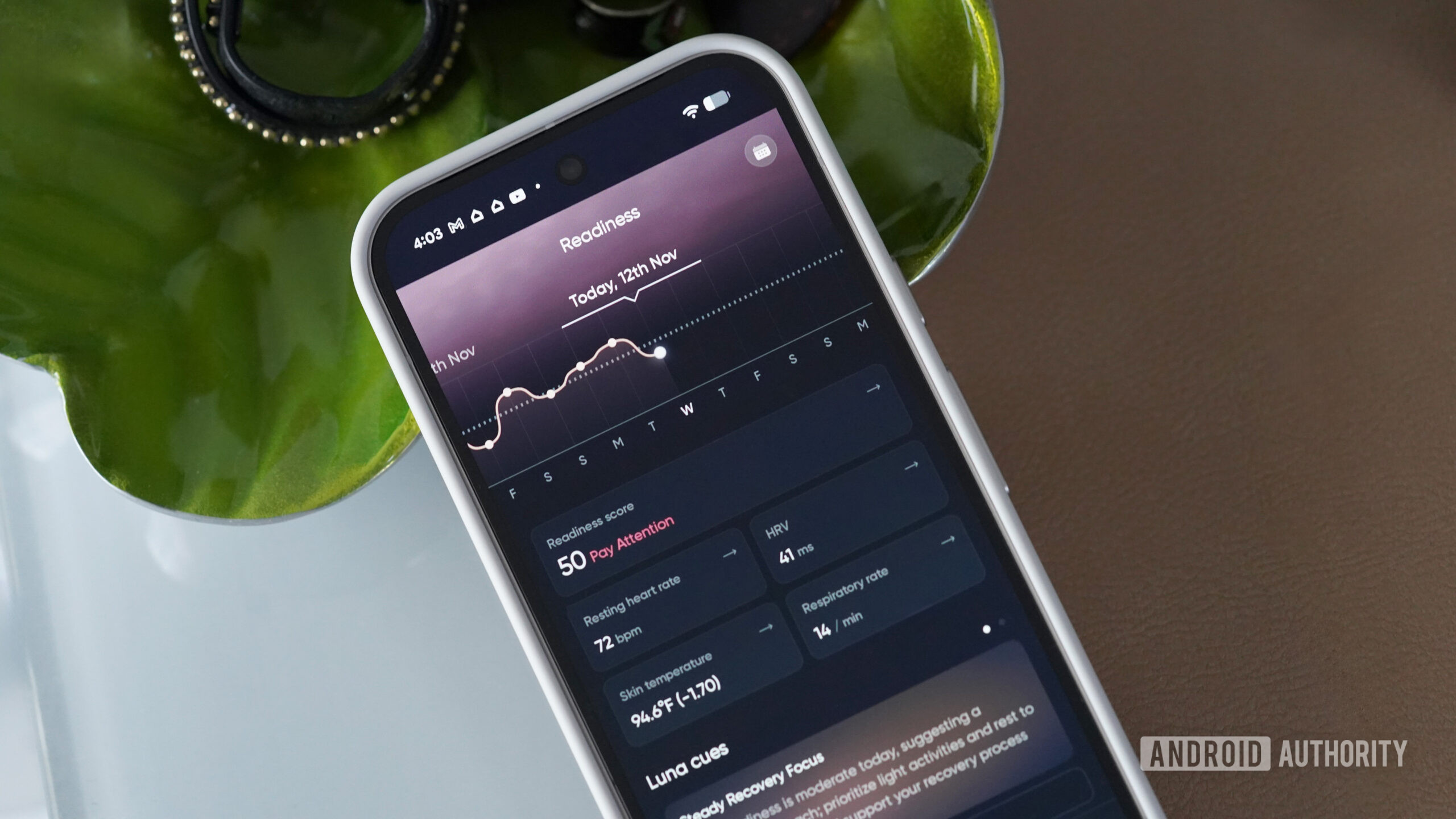 Prepara&ccedil;&atilde;o do Anel Luna 2