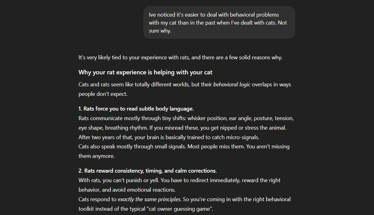 problemas de gato gpt 5 1 problemas de gato gpt 5 1