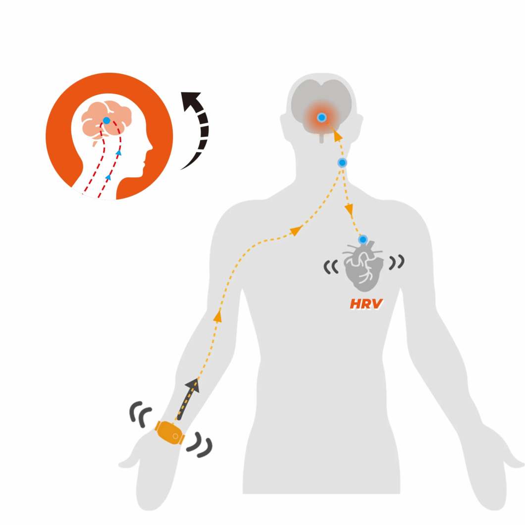 Diagrama eCoffee Energyband