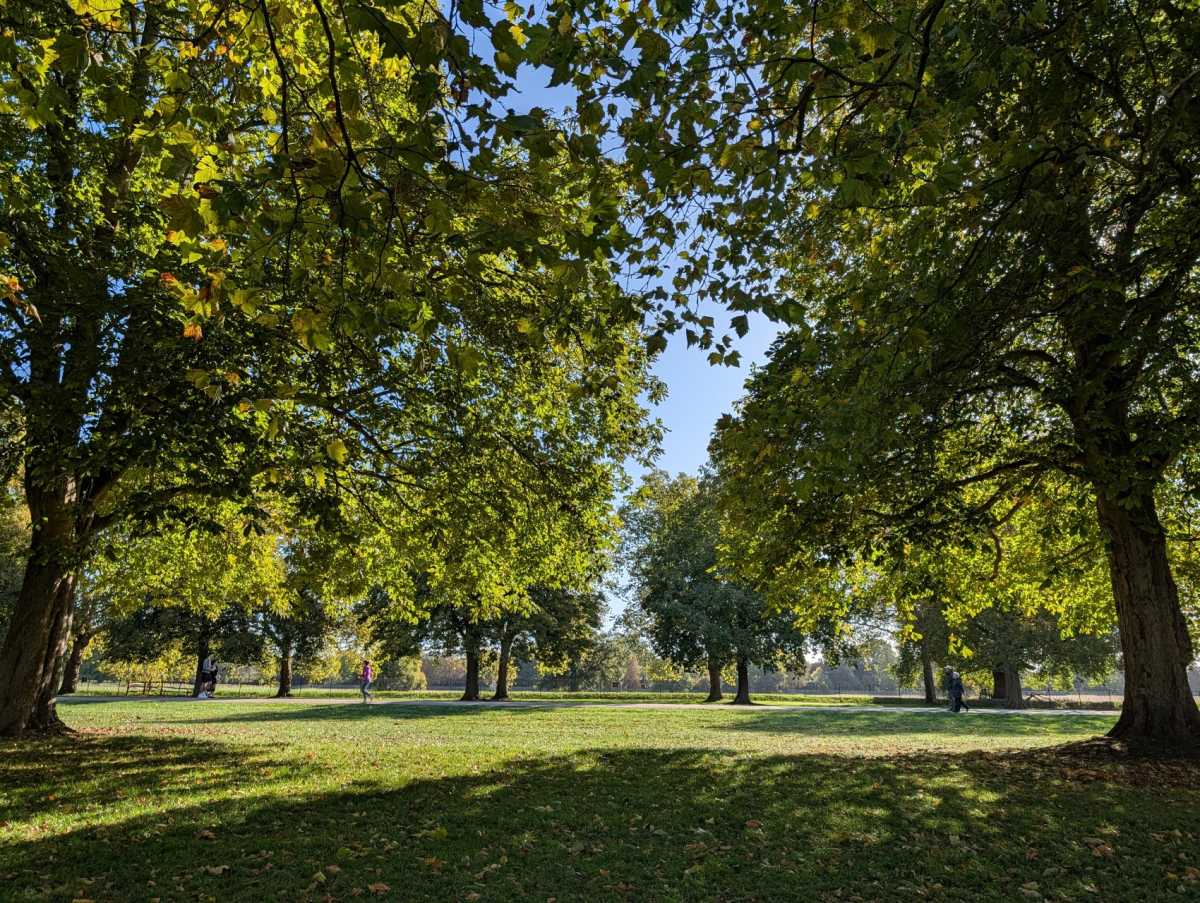 google pixel10 pro sample 8