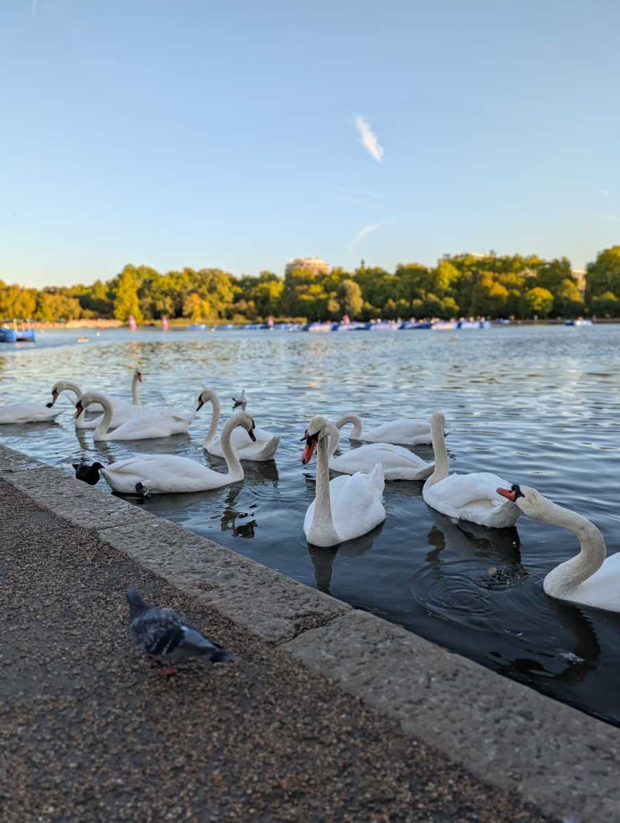 google pixel10 pro sample 5