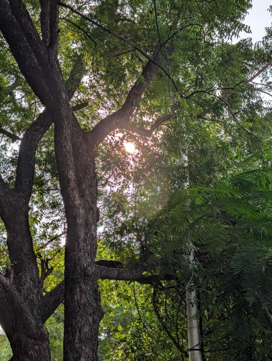 google pixel10 pro sample 1