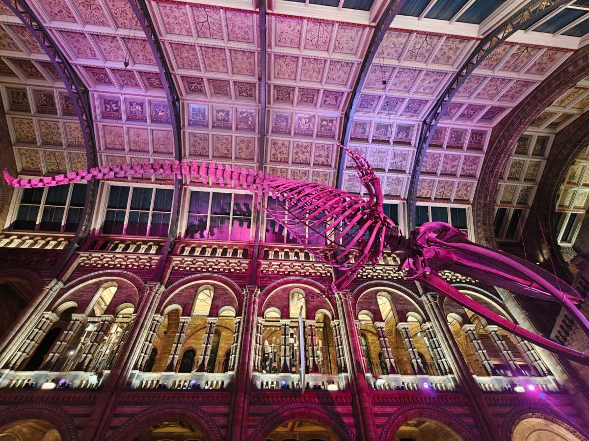 oppo find x8 ultra samples 7