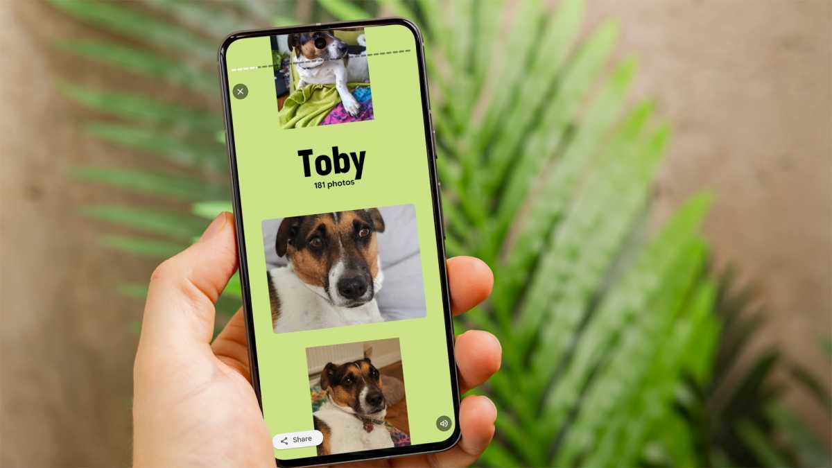 google photos recap 2