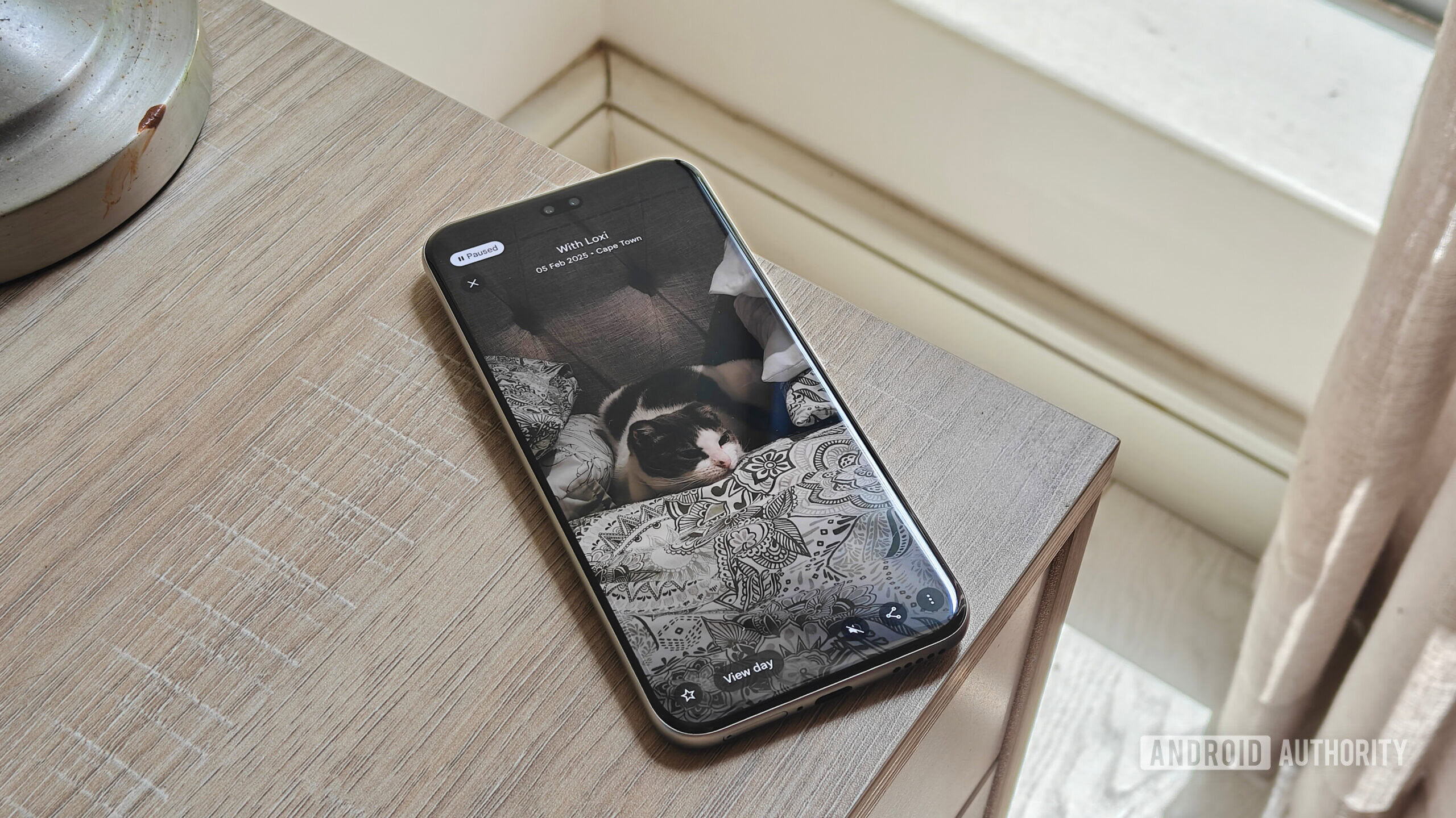 uma lembran&ccedil;a no google fotos mostrando um gato