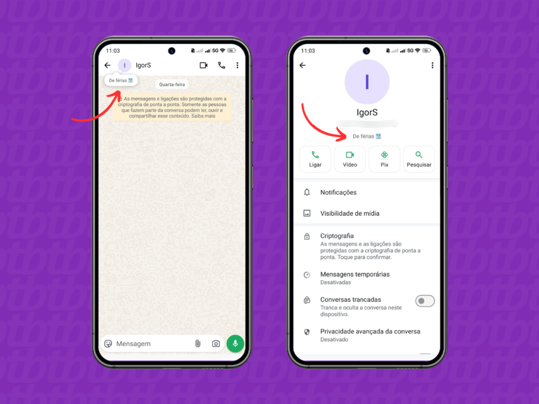 Colocando o aviso de f&eacute;rias no Recado do WhatsApp