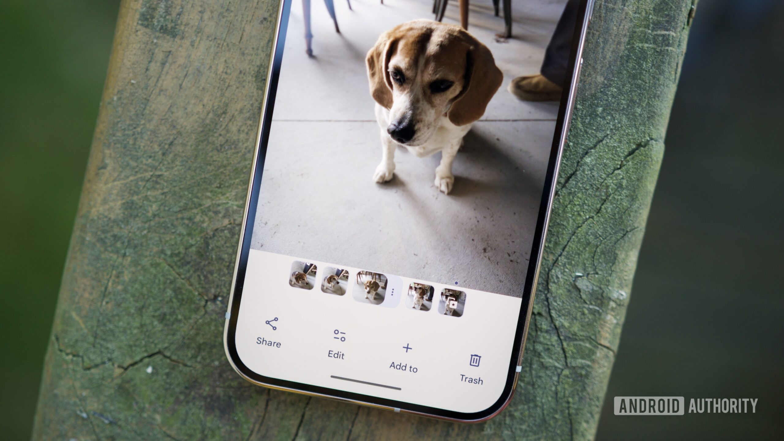 Uma pilha de fotos no Google Fotos.