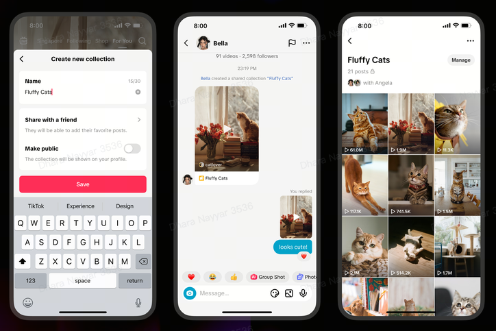 Montagem com três capturas de tela de iPhone mostrando o recurso de coleções do TikTok. À esquerda, tela “Create new collection” com o nome “Fluffy Cats”, opções “Share with a friend” e botão “Save”. No centro, conversa direta onde aparece “shared a shared collection ‘Fluffy Cats’” e a mensagem “looks cute!”. À direita, grade de vídeos da coleção “Fluffy Cats”, com fotos e vídeos de gatos.