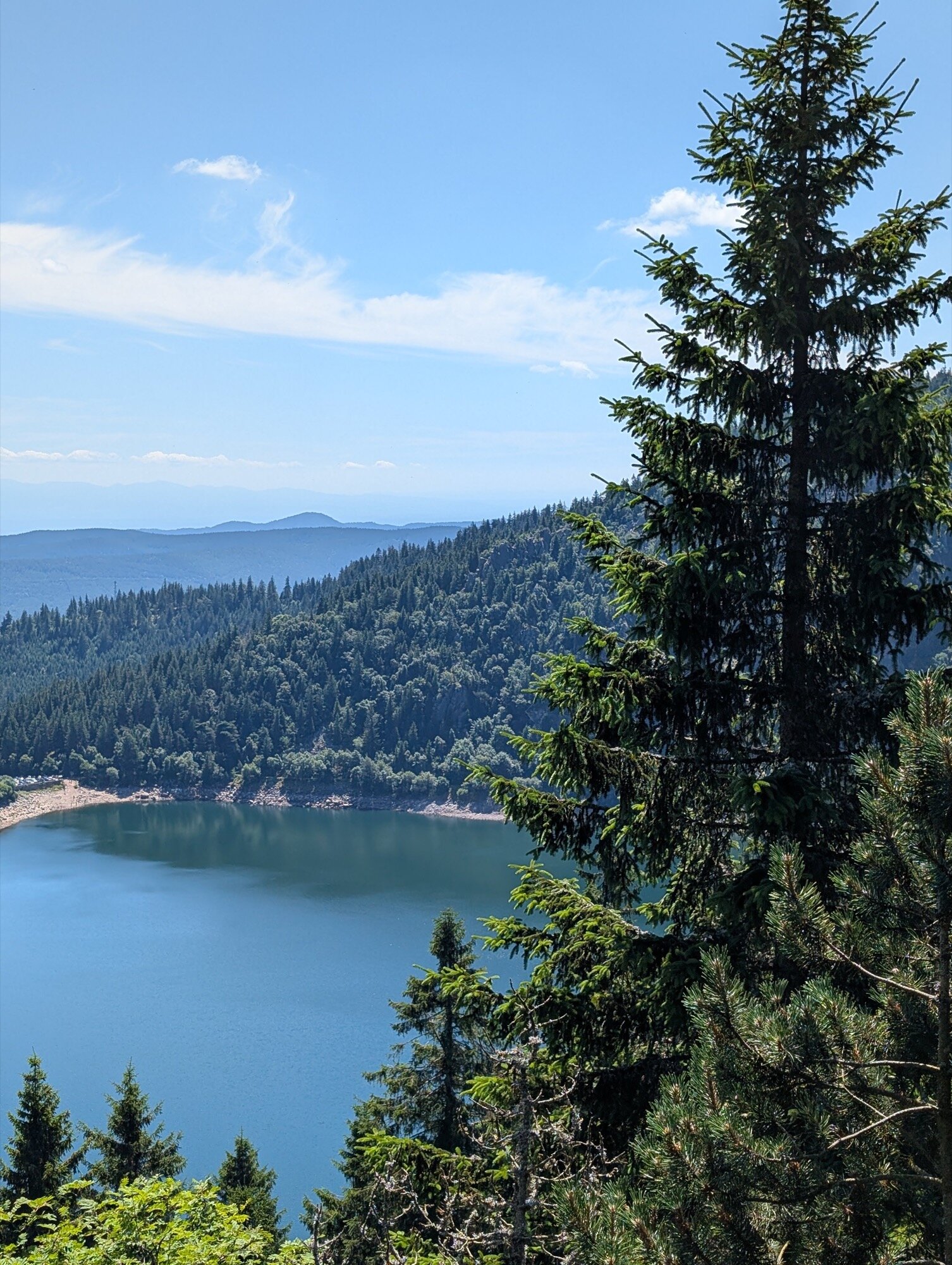 amostra de c&acirc;mera google pixel favorita 7