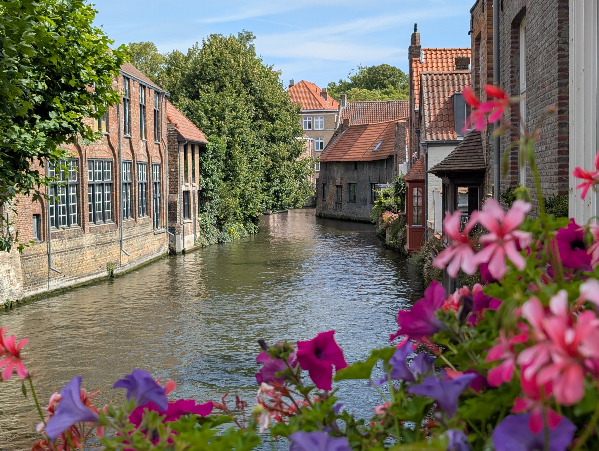 amostra de c&acirc;mera google pixel favorita 4