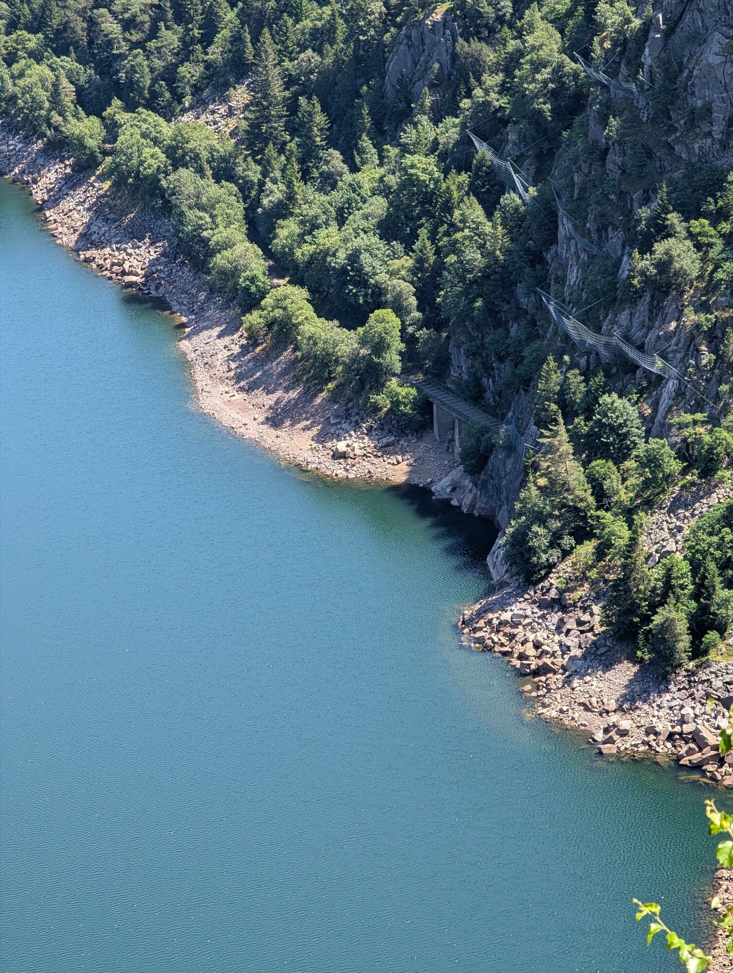 amostra de c&acirc;mera google pixel favorita 8