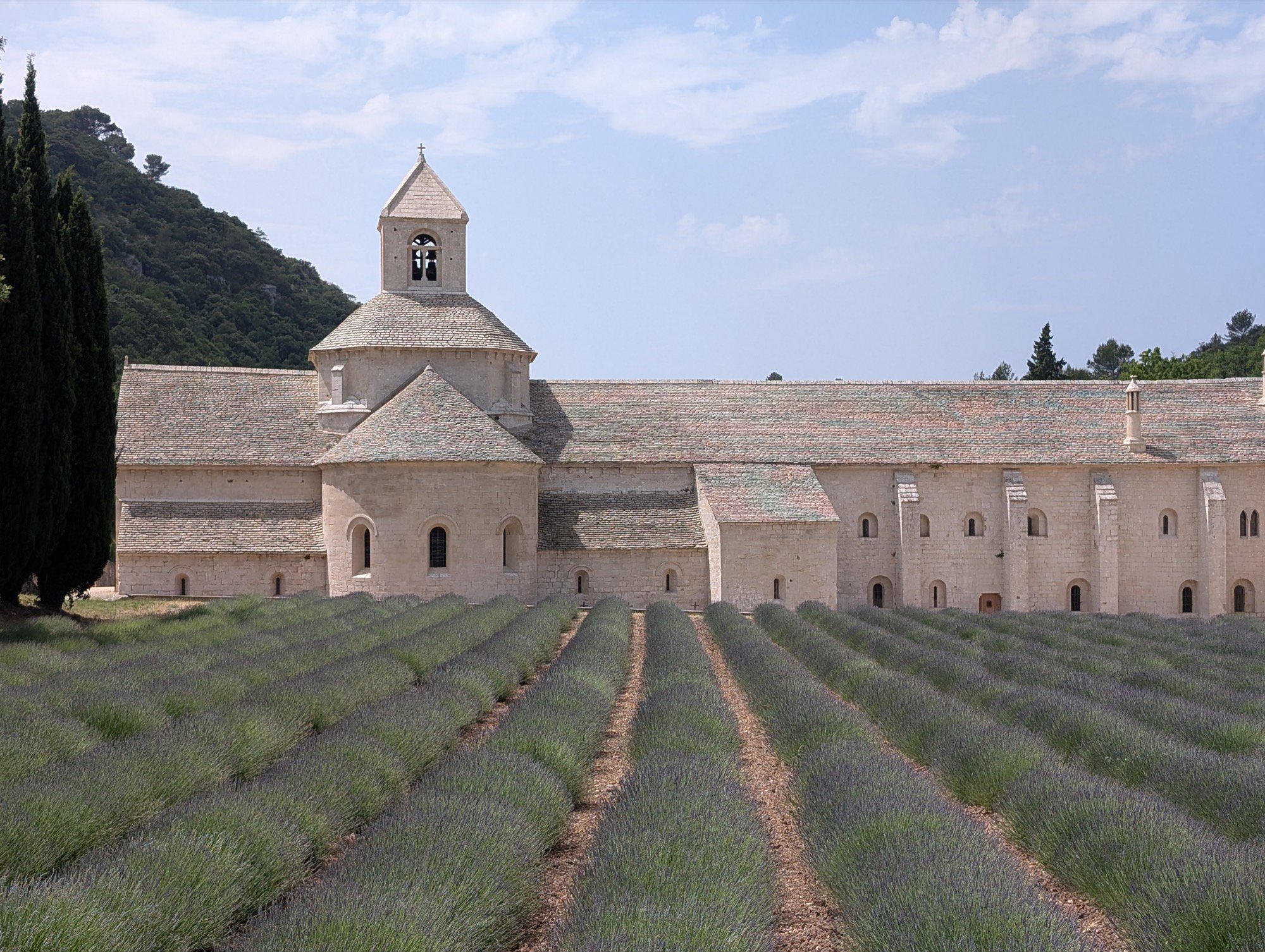 amostra de c&acirc;mera google pixel favorita 6