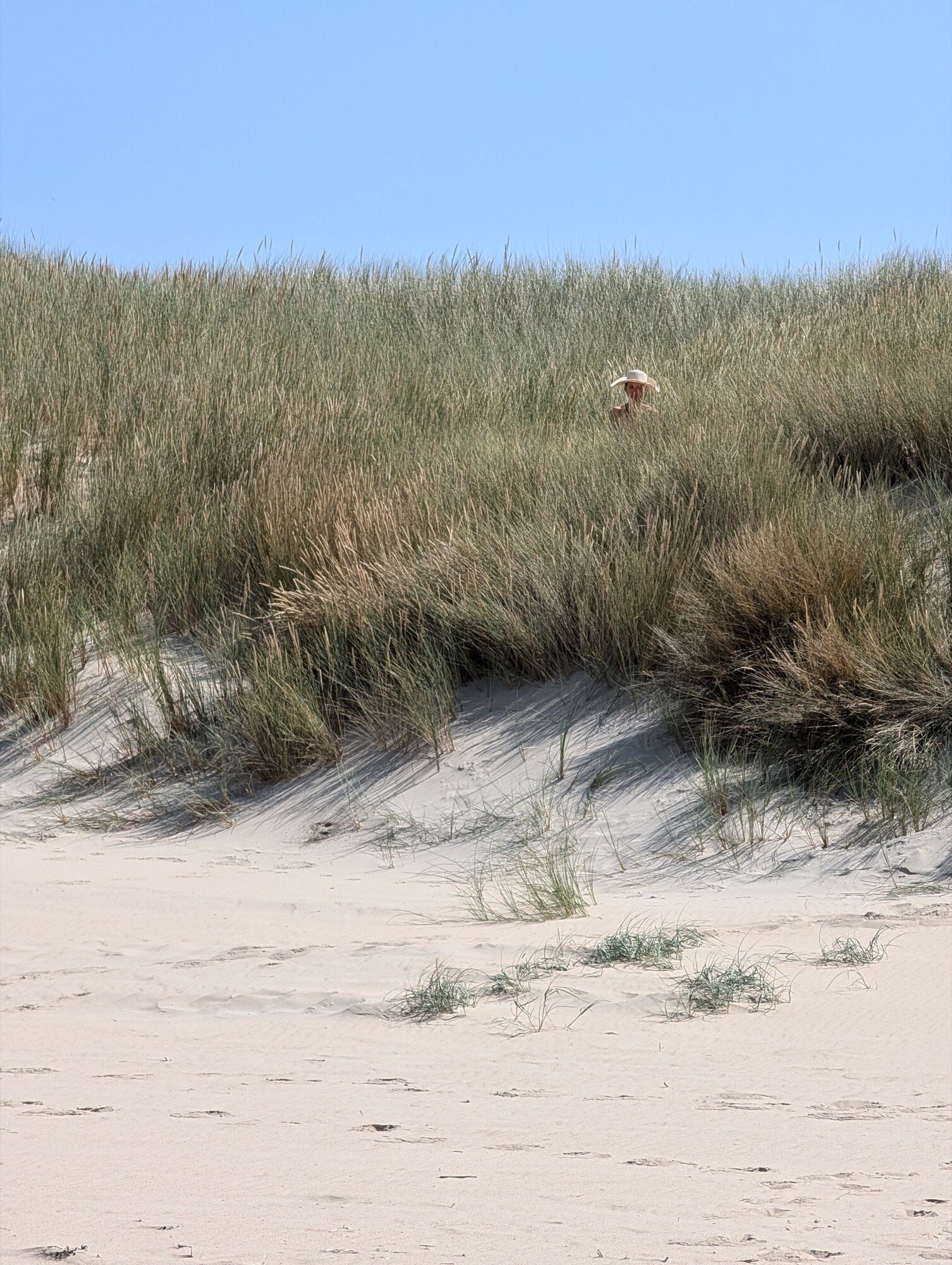 amostra de c&acirc;mera google pixel favorita 12