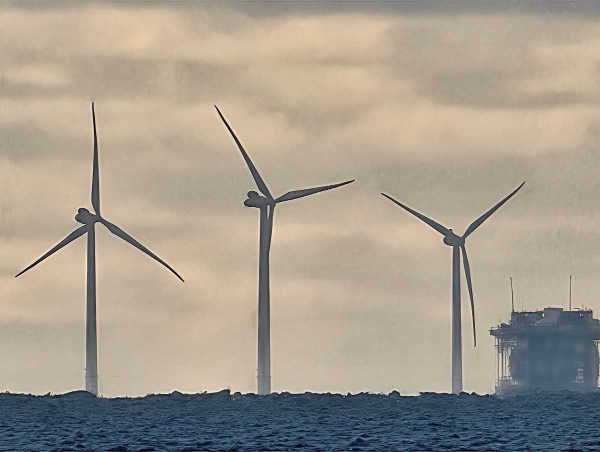 Honor Magic 8 Pro camera sample 100x zoom beach