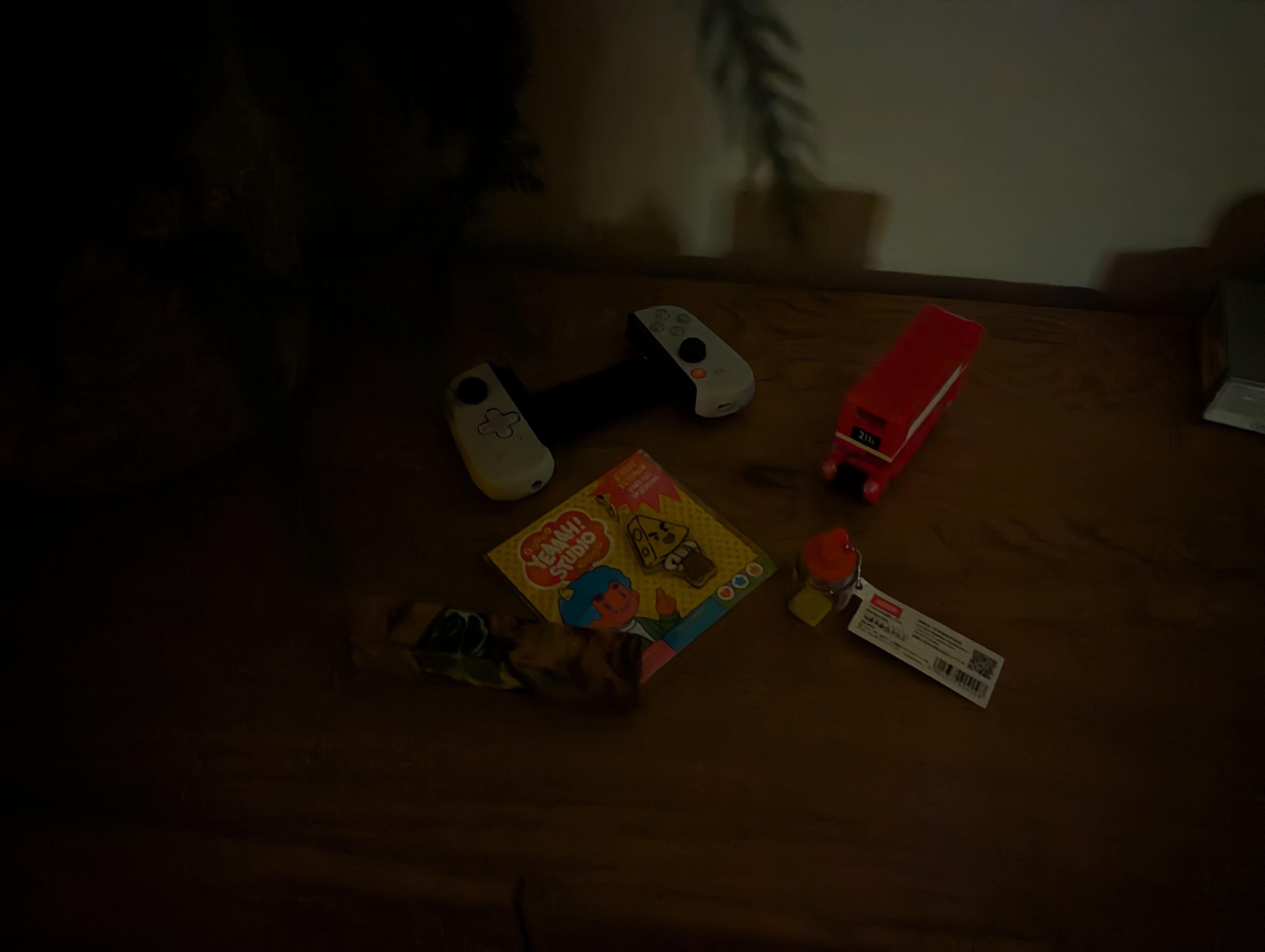 Google Pixel 10 Pro camera sample Night Sight toys